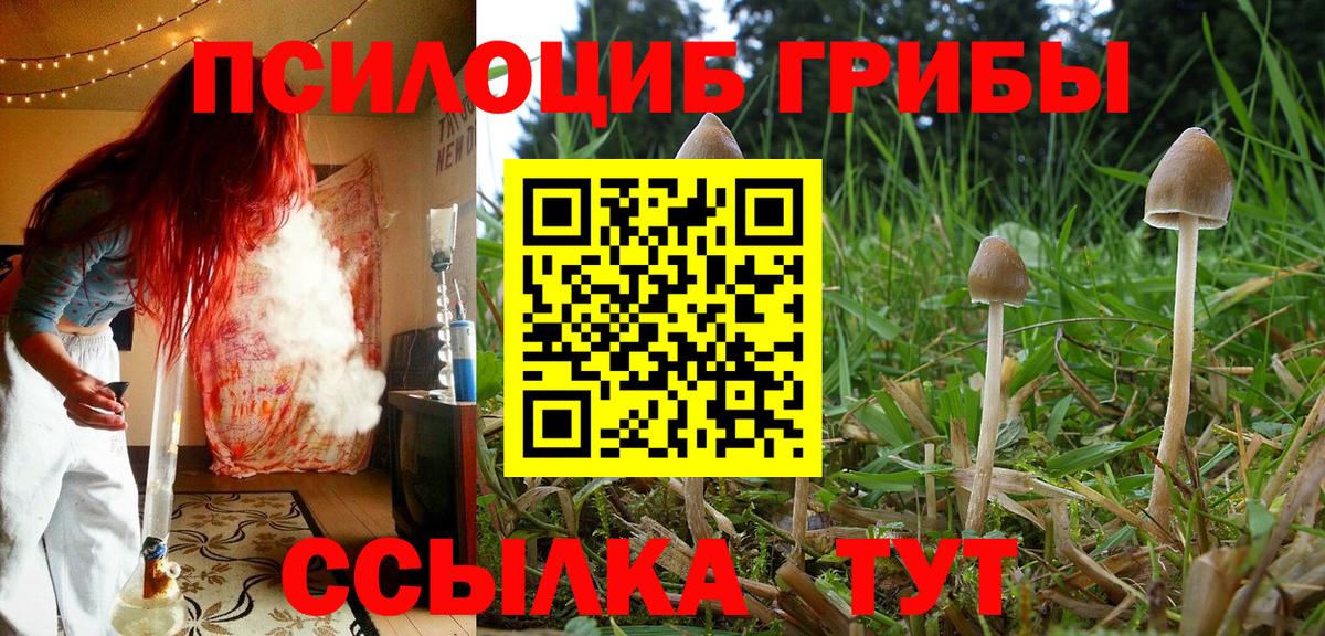 Псилоцибиновые грибы ЛСД Пенза