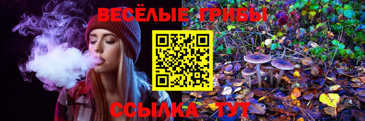 Пенза  Галлюциногенные грибы мицелий  Псилоцибиновые грибы Magic Shrooms  Вход с VPN 